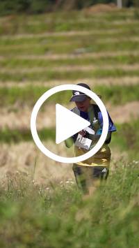 BIB:  <button type="button" onclick="openModal(26787493)" class="btn btn-primary btn-sm float-right" data-toggle="modal" data-target=".modal-high-quality">
                <i class="fa fa-download"></i> Download
                </button>